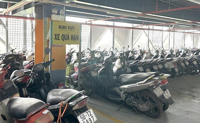 Tìm cách xử lý 650 xe máy 'bỏ quên' tại sân bay Tân Sơn Nhất ảnh 1