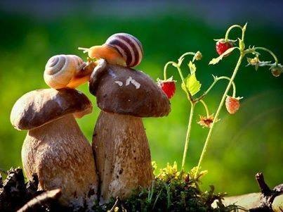 giữ vợ, vợ xấu giữ vợ, vợ xấu