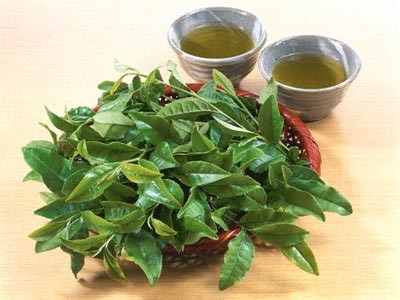 Ăn gì để sống thọ?