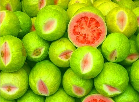 Quả ổi và lợi ích ít biết với bà bầu