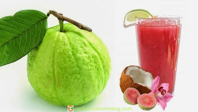 Quả ổi và lợi ích ít biết với bà bầu