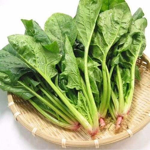 Cải bó xôi: Vừa bổ thận tráng dương, vừa chống ung thư cực tốt ảnh 2