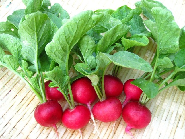 Những loại nước ép từ thiên nhiên giá rẻ bèo, giải độc gan cực tốt ảnh 1