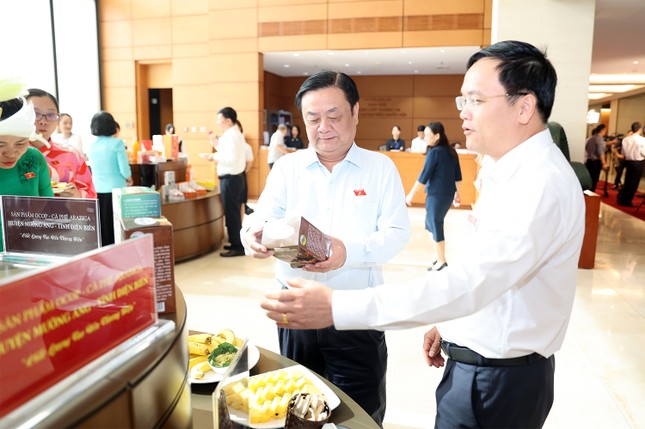 Cà phê Arabica Mường Ảng, cây 'xóa đói, giảm nghèo' cho người dân nông thôn miền núi ảnh 1
