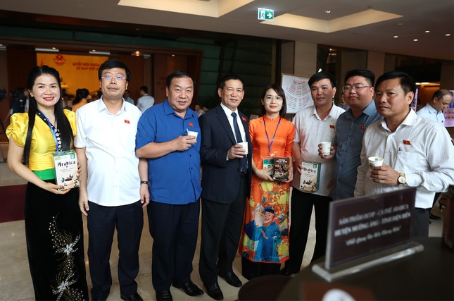 Cà phê Arabica Mường Ảng, cây 'xóa đói, giảm nghèo' cho người dân nông thôn miền núi ảnh 2