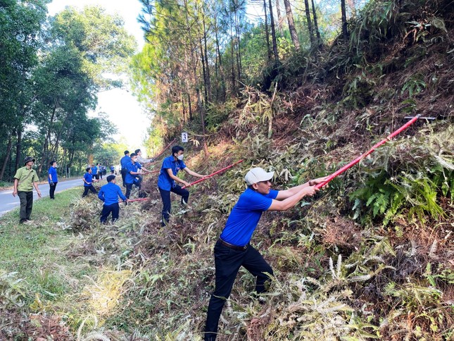 Tuổi trẻ Huế ra quân bảo vệ và phòng, chống cháy rừng đặc dụng cảnh quan ảnh 8