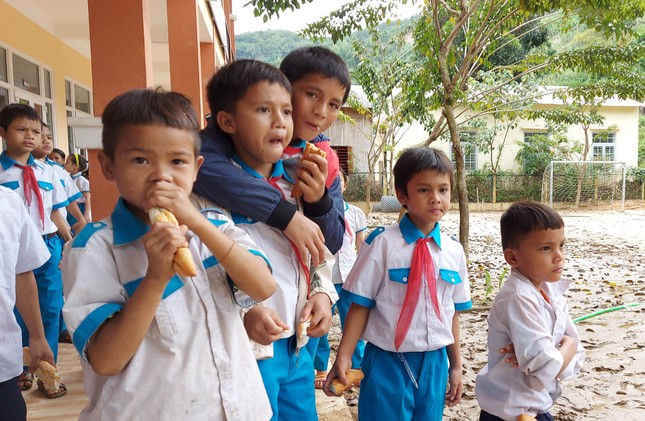 Chậm trễ triển khai, học sinh miền núi Quảng Nam chờ hết năm học vẫn không được uống sữa học đường ảnh 1