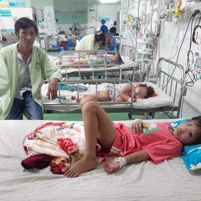 Quảng Nam: Bốn mẹ con bị đàn ong vò vẽ đốt phải nhập viện ảnh 1