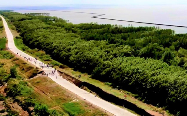 Khô hạn, sụp lở đất kinh hoàng tại Cà Mau ảnh 4