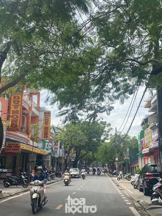 Cảnh tượng bất ngờ của thành phố Huế sau ảnh hưởng của cơn bão số 9 ảnh 4