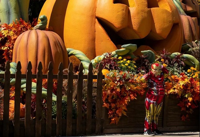 Không khí lễ hội Halloween toàn cầu: Hình nộm bí ngô cũng phải đeo khẩu trang! ảnh 2