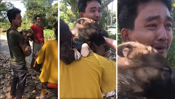 Chú chó đi lạc có cách cực thông minh để chủ tìm thấy mình, chủ cũng không tưởng tượng ra ảnh 2