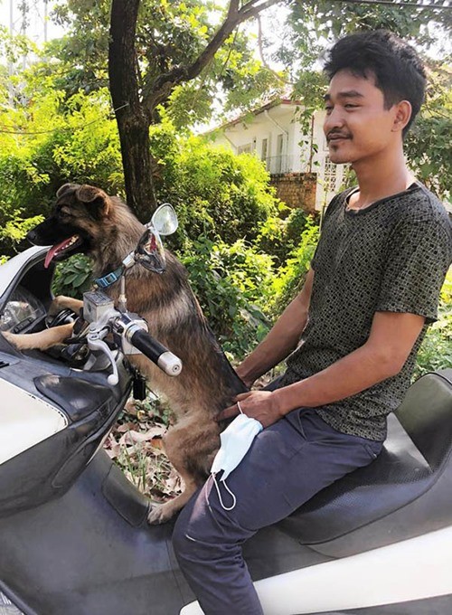 Chú chó đi lạc có cách cực thông minh để chủ tìm thấy mình, chủ cũng không tưởng tượng ra ảnh 3