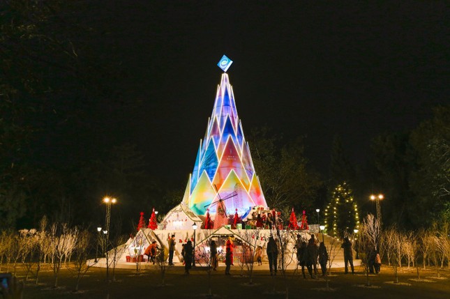 Hà Nội: Bạn đã kịp check-in cùng “cây măng Noel” đẹp như ở trời Âu chưa? ảnh 1