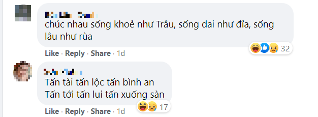 Tuyển tập lời chúc Tết từ hội thích “troll“: Linh nghiệm hay không thì chưa biết, nhưng “mặn” có thừa! ảnh 2