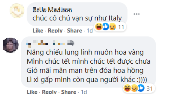 Tuyển tập lời chúc Tết từ hội thích “troll“: Linh nghiệm hay không thì chưa biết, nhưng “mặn” có thừa! ảnh 6