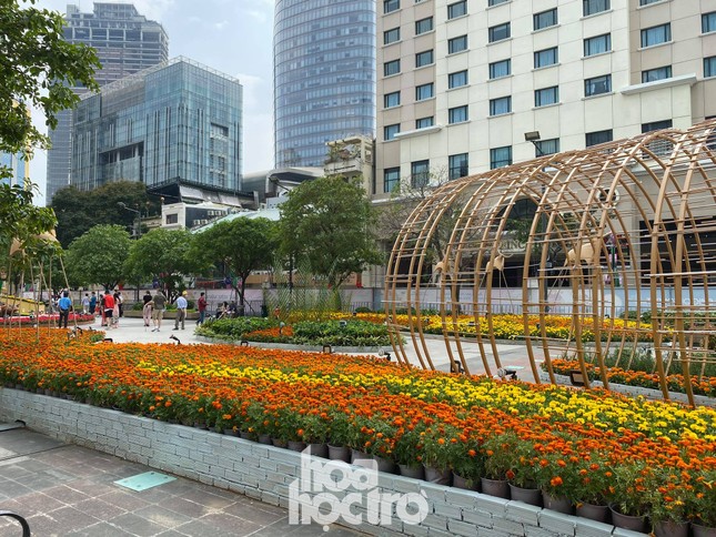 Đường hoa Nguyễn Huệ đẹp rực rỡ đón Tết Tân Sửu, đảm bảo quy tắc an toàn với du khách đến thăm ảnh 6
