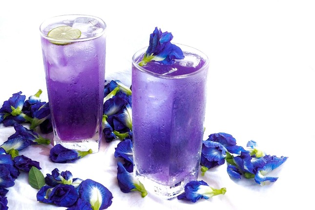 Hoa đậu biếc cực tốt cho sức khoẻ nhưng sẽ thành 'độc dược' nếu uống theo cách này ảnh 3