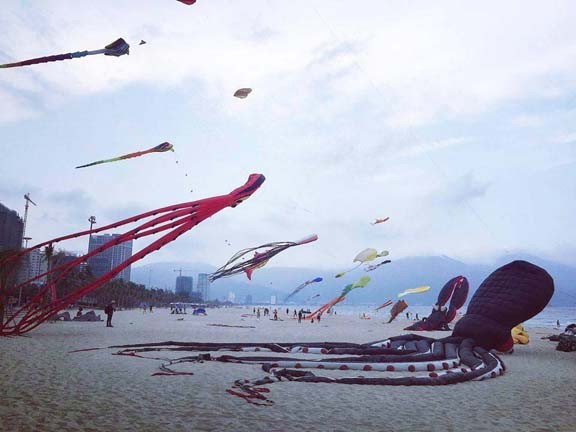 Cả đại dương 'tung bay' trên những cánh diều trước biển Đông Đà Nẵng ảnh 4