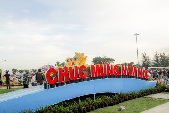 Biểu tượng linh vật tết Kỷ Hợi của Bình Định là heo bố mẹ và 9 heo con ảnh 1