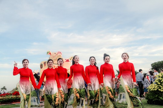 Biểu tượng linh vật tết Kỷ Hợi của Bình Định là heo bố mẹ và 9 heo con ảnh 6