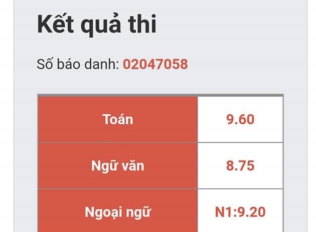 Cậu bạn “Văn Toán song toàn“: Toán đạt 9,6 điểm, Văn cũng suýt soát với 8,75 ảnh 1