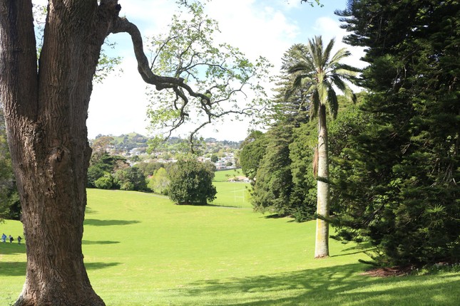 Bài dự thi “New Zealand - Bật mí trăm điều thú vị”: Tháng 10 - mùa cỏ nở hoa và ấn tượng New Zealand của tớ ảnh 4