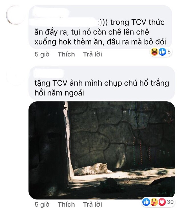 Thảo Cầm Viên Sài Gòn lên tiếng phản bác sau khi bị “tố” ngược đãi động vật ảnh 9