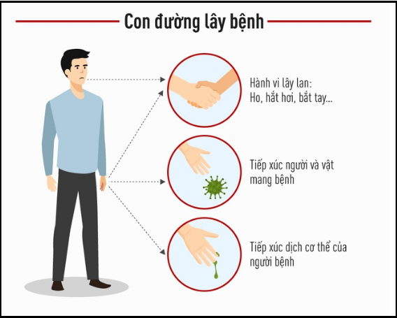 Bảo vệ bản thân giữa mùa COVID-19: Đừng bỏ qua những lời khuyên từ WHO ảnh 1