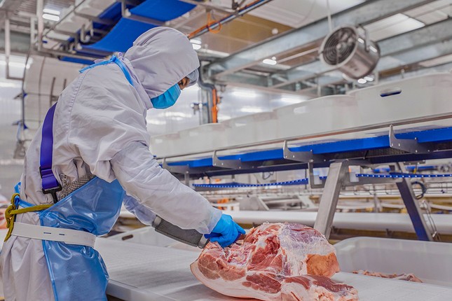 Masan MEATLife hoàn tất Giao Dịch góp vốn 613 tỷ đồng để sở hữu 51% Công ty 3F VIỆT ảnh 1