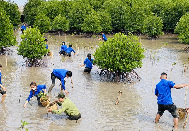  Phó Chủ tịch nước và Bí thư thứ nhất T.Ư Đoàn trồng cây cùng bạn trẻ ảnh 10