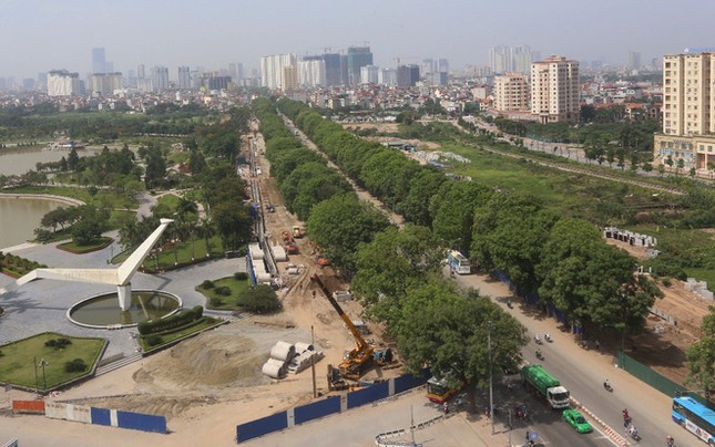 Bí thư Hà Nội: Chặt cây ai cũng tiếc, nhưng chẳng lẽ không làm gì? ảnh 2