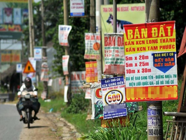 'Tình trạng đầu cơ đất ở Long Thành rất khủng khiếp' ảnh 2