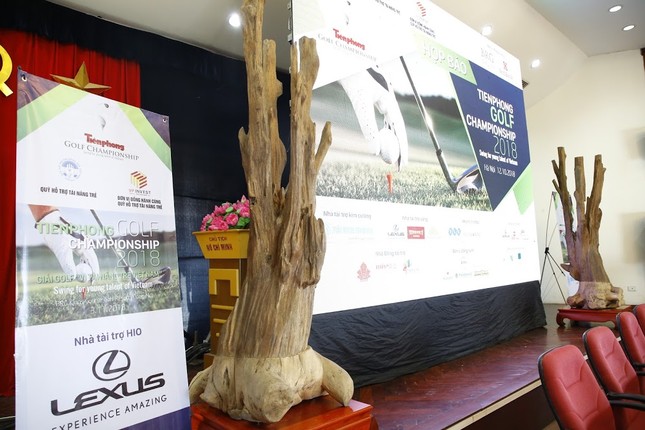 Cận cảnh cây trầm hương quý hiếm tại Tiền Phong Golf Championship ảnh 2