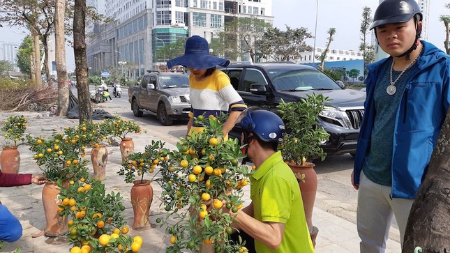 Đào, quất vứt ngập phố Hà Nội chiều 30 tết ảnh 2