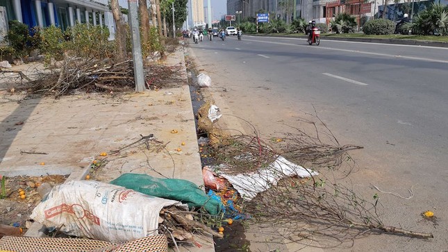 Đào, quất vứt ngập phố Hà Nội chiều 30 tết ảnh 7