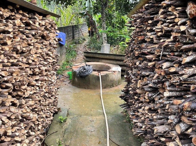 Con dâu đổ thuốc diệt cỏ xuống giếng, phóng hỏa đốt nhà bố chồng ảnh 1