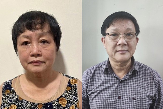 Bắt cựu Phó giám đốc Sở KH&ĐT TPHCM ảnh 1