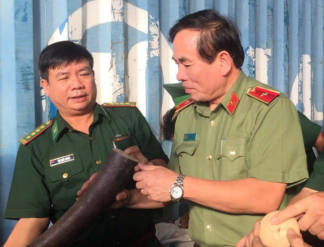 Phó Thủ tướng biểu dương vụ chặn 10 tấn ngà voi, vảy tê tê nhập lậu ảnh 1