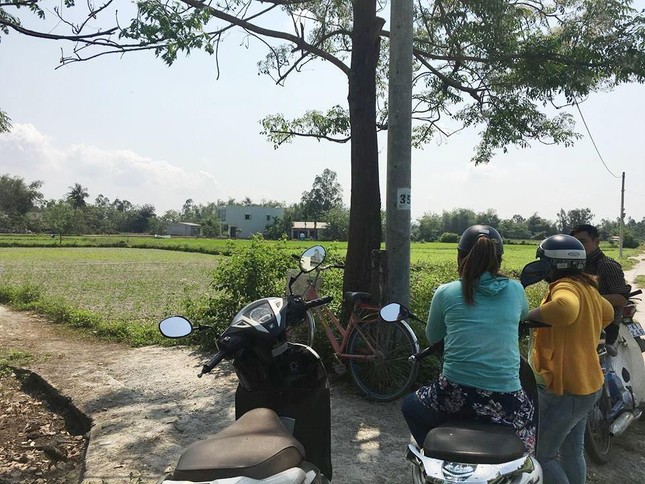 Cò đất 'thổi giá' náo loạn vùng quê ảnh 1