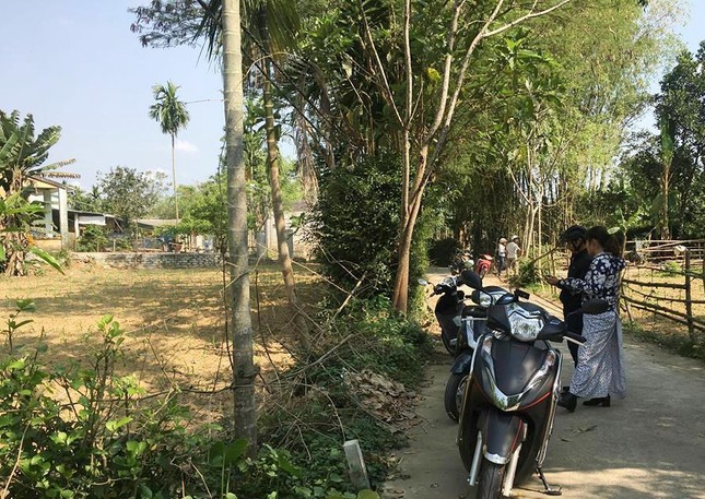 Cò đất 'thổi giá' náo loạn vùng quê ảnh 3