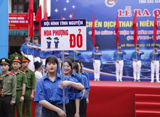 Bắc Giang thành lập 5 đội hình tình nguyện Hè ảnh 2