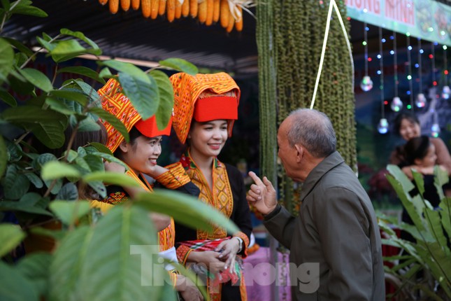 Đặc sắc hội chợ cam, bưởi ở Bắc Giang ảnh 6