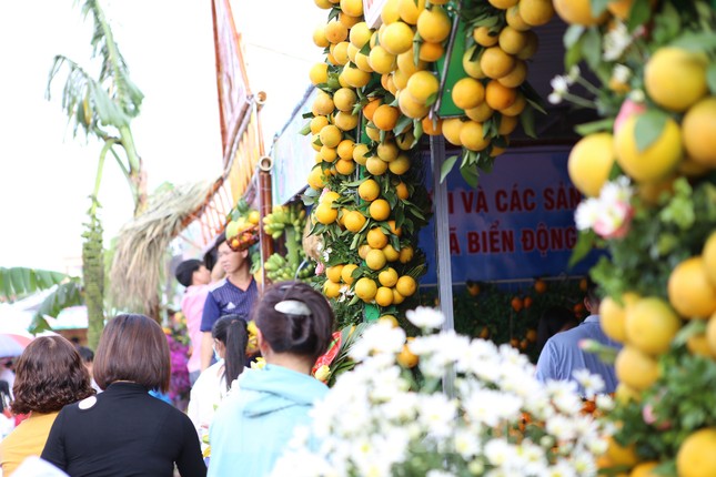 Đặc sắc hội chợ cam, bưởi ở Bắc Giang ảnh 4