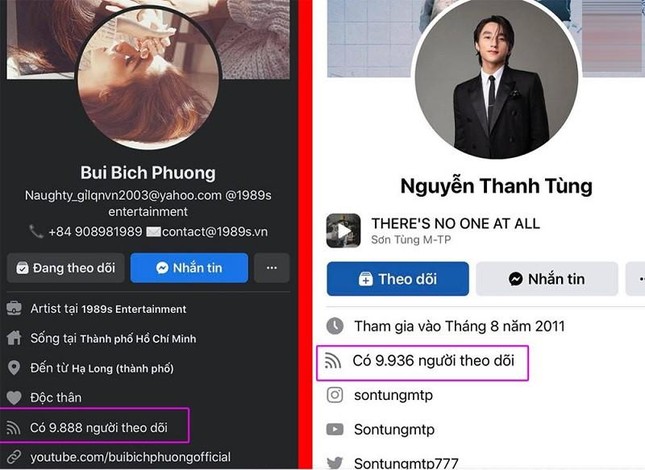 Sao Việt, KOLs "Nỗi Đau" Vì Mất Người Theo Dõi Facebook, Còn Vì Sao TikToker Bông Tim Lại Vui? ảnh 3