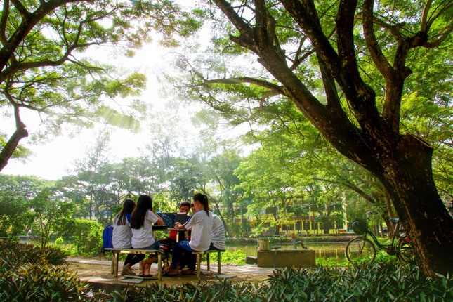 Ngắm khuôn viên Đại học Trà Vinh - ngôi trường lọt Top 200 Đại học xanh phát triển bền vững ảnh 7