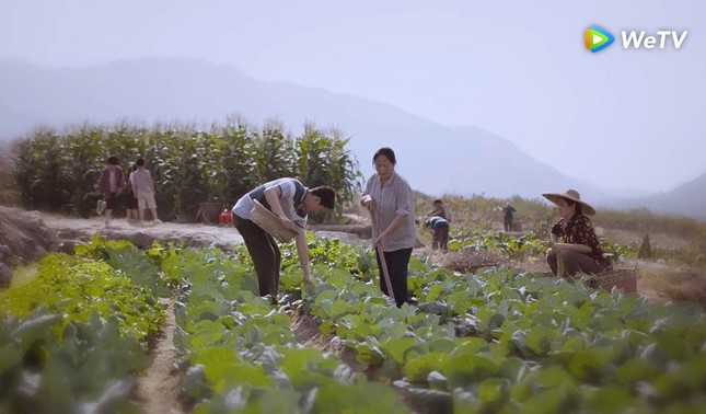 “Danh Nghĩa Người Nhà“: Đối với 3 anh em, nếu không phải bố Lý thì không thể là ai khác ảnh 4
