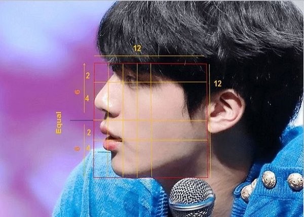 Các chỉ số khoa học chỉ ra gương mặt Jin (BTS) đạt tới độ hoàn hảo gần như tuyệt đối ảnh 2