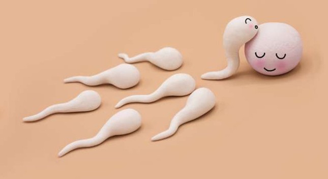Liệu đồ ăn hàng ngày có khả năng làm thay đổi mùi của tinh dịch không? ảnh 2
