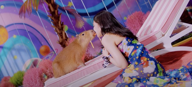 Loài vật xuất hiện trong MV “Ice Cream” có tên là gì mà được Jennie BLACKPINK “hôn môi“? ảnh 1